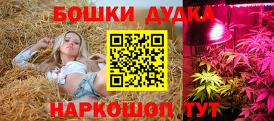 гашишное масло Новозыбков