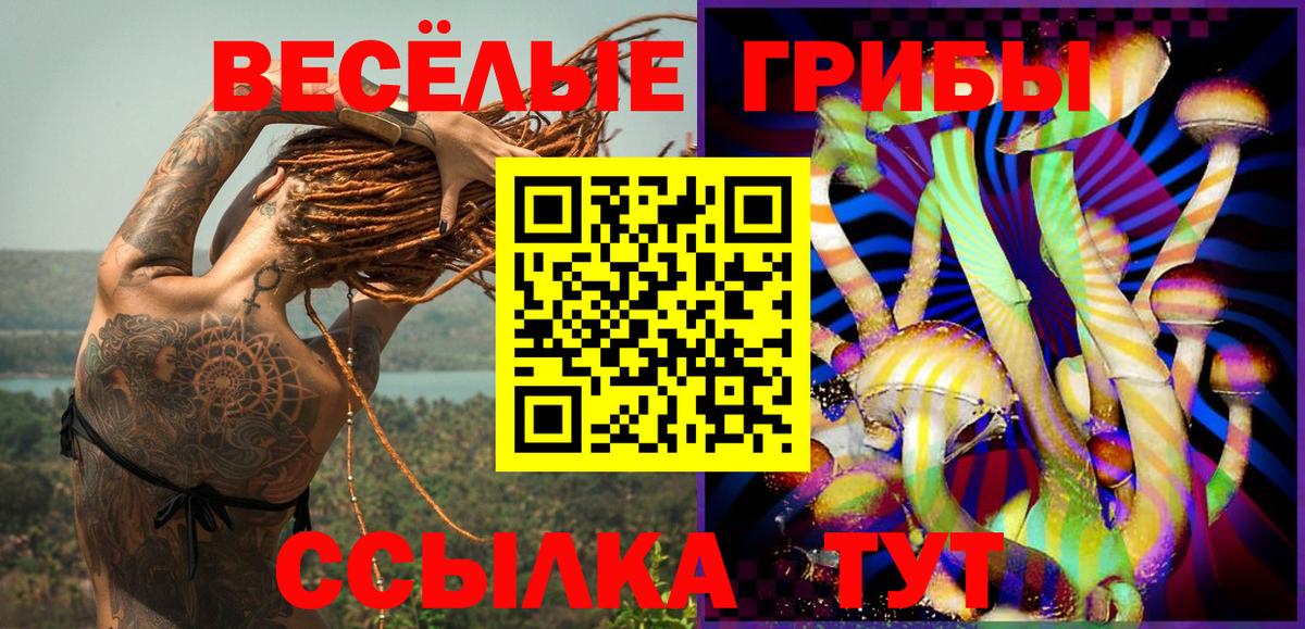 цена   Галлюциногенные грибы мицелий  Вход с VPN  Тосно  Псилоцибиновые грибы Magic Shrooms 
