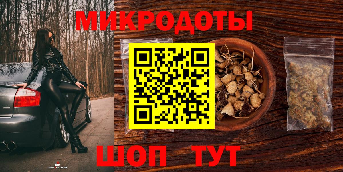 Псилоцибиновые грибы Cubensis Тосно