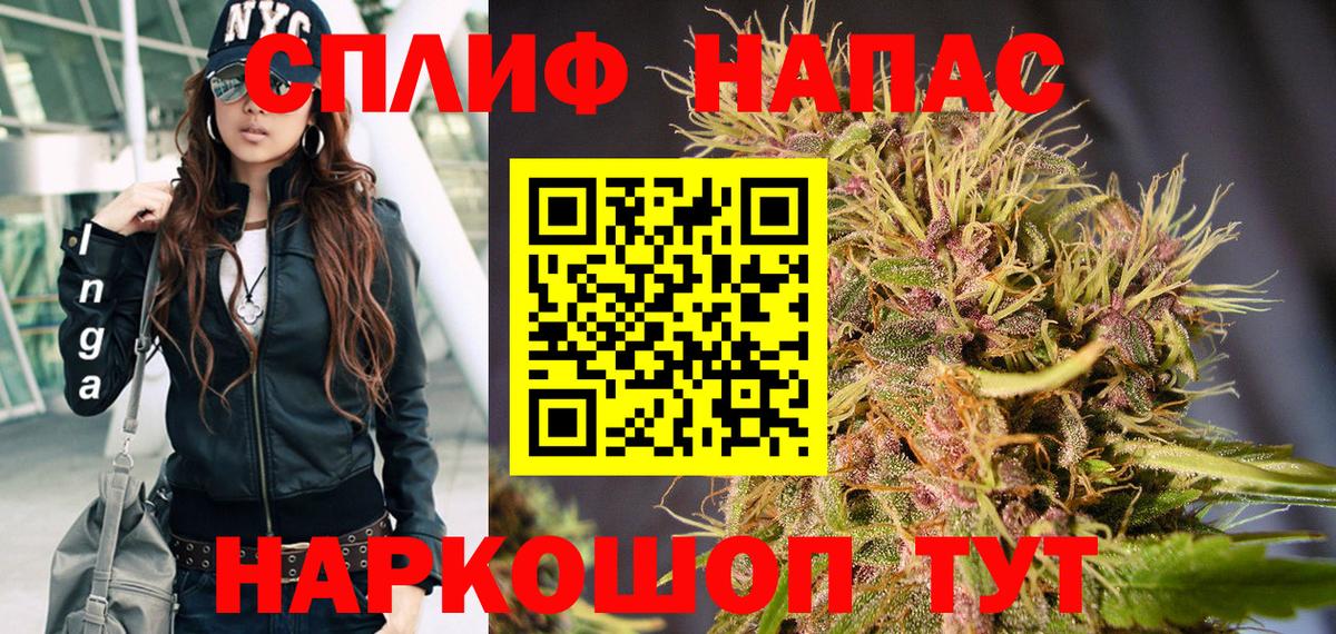 Конопля конопля Тосно